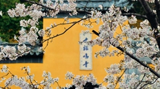 67f306dda3104d9fd1554f0d (1)_副本.jpg