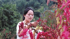 67da183aa310c240e242d272_副本.jpg