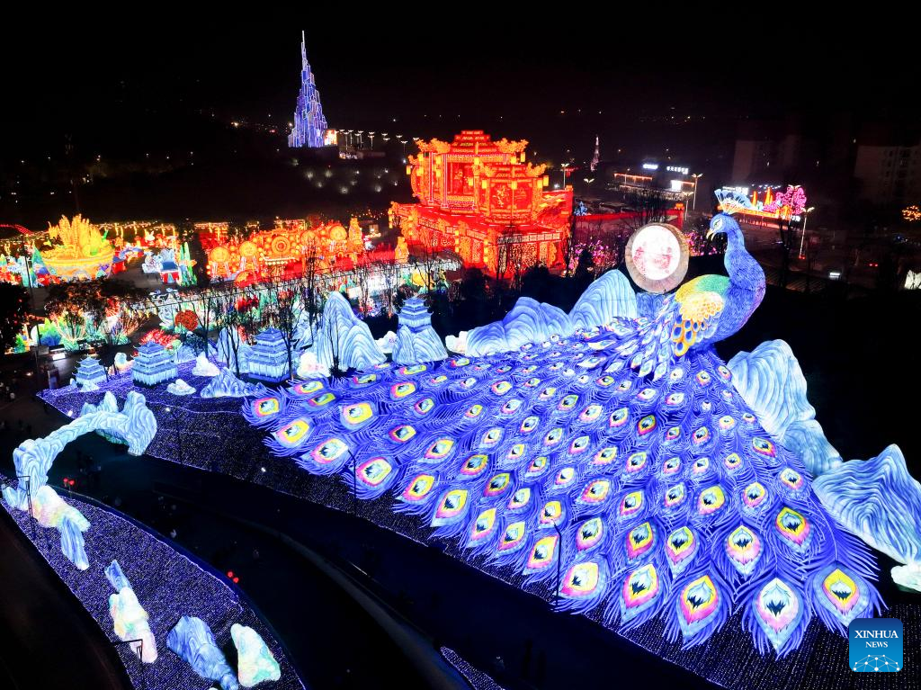31st Zigong Int'l Dinosaur Lantern Show kicks off