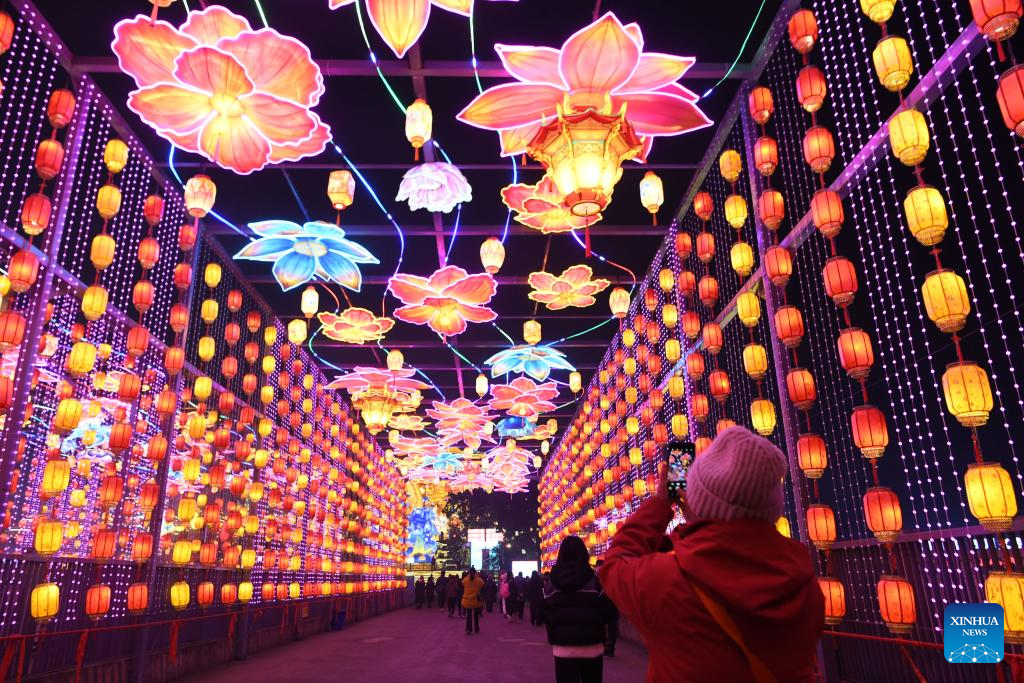 31st Zigong Int'l Dinosaur Lantern Show kicks off