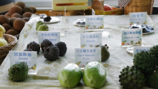微信截图_20250324100816_副本1.png