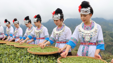 微信截图_20250312104927_副本1.png